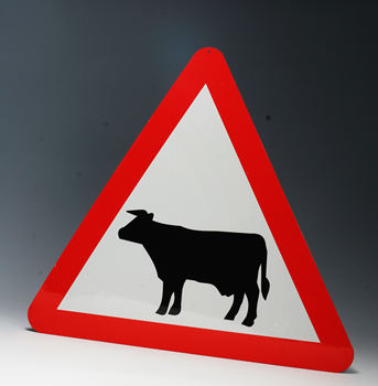 Traffic Warning Sign