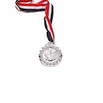 Silver V-shaped relief medal